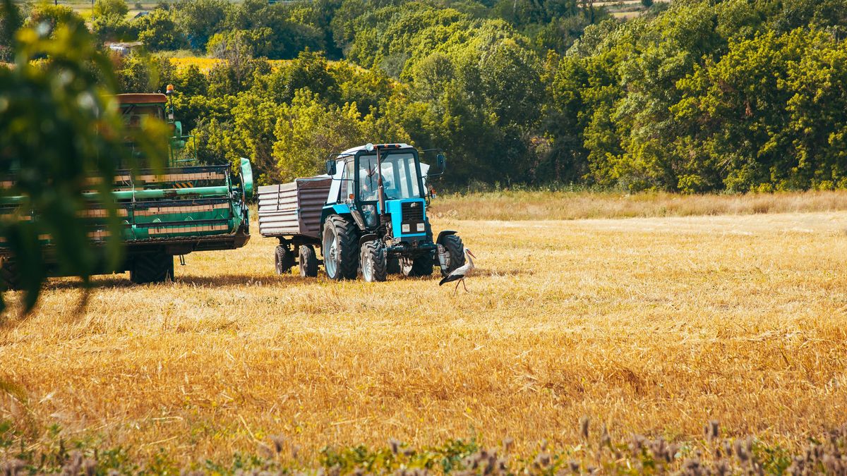 Zemědělci měli druhou nejhorší úrodu za posledních 12 let