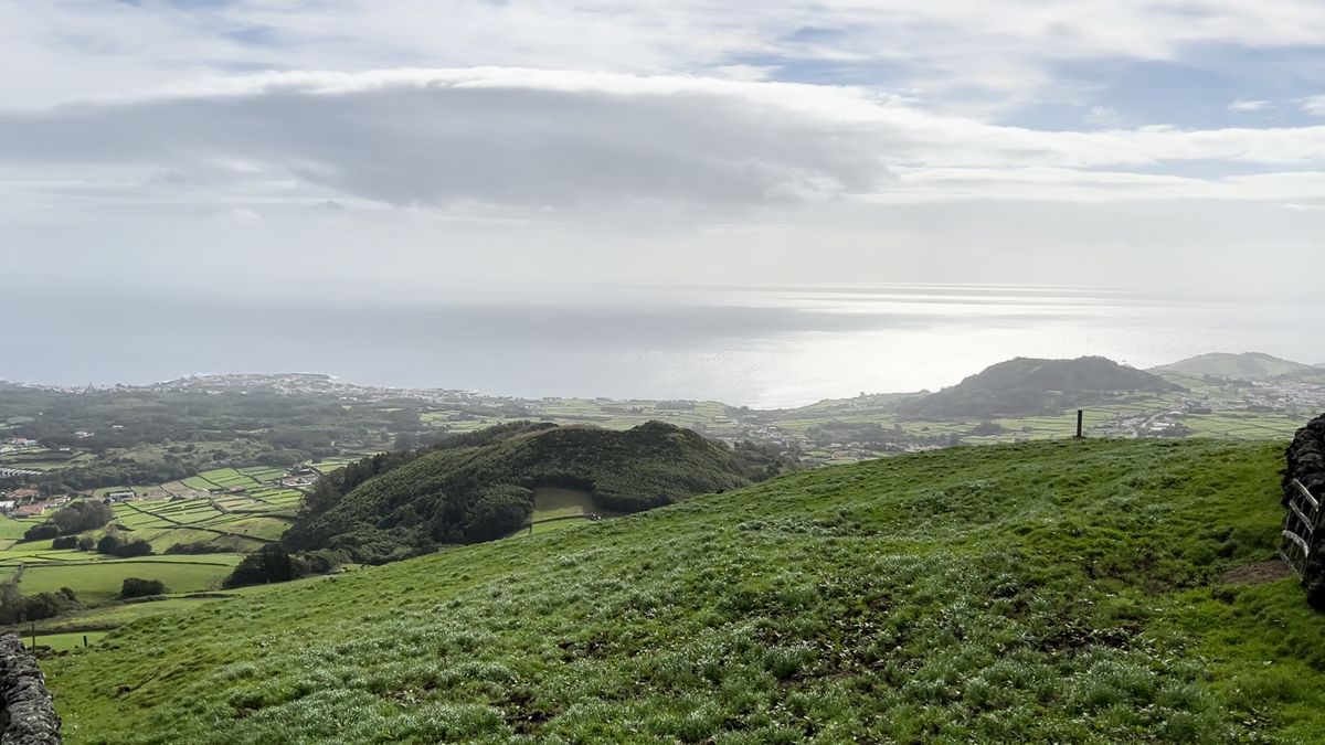 Stálezelená Terceira: Ostrov, na kterém žije skoro stejně krav jako lidí