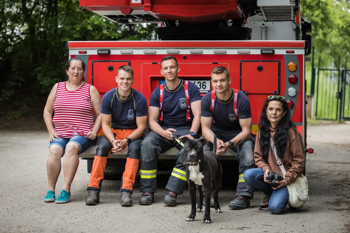 Profesionální hasiči pomáhají psům z útulků, a to speciálním kalendářem pro rok 2024. Z focení kalendáře v Blansku.