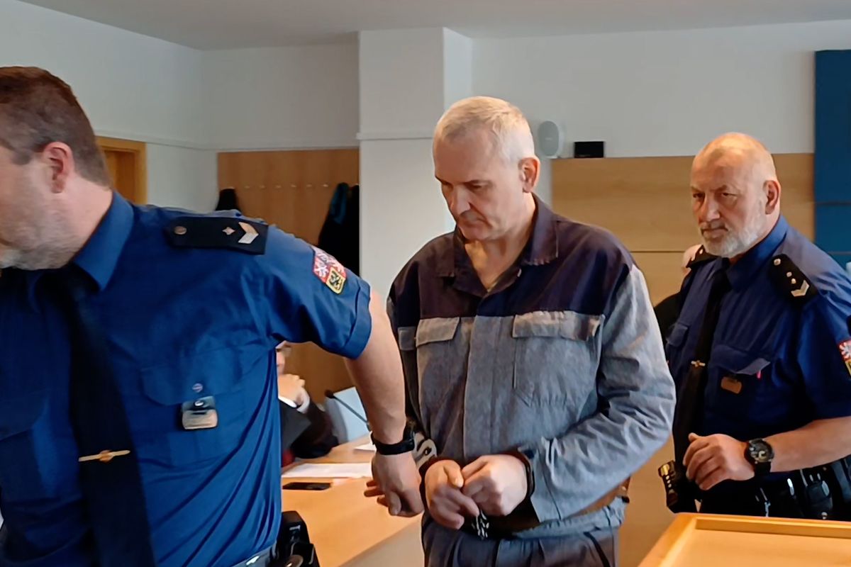 Lihovému bossovi Březinovi hrozí prodloužení pobytu za mřížemi