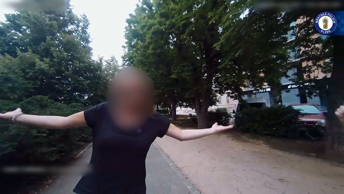 Žena s téměř čtyřmi promile houkala v centru Plzně