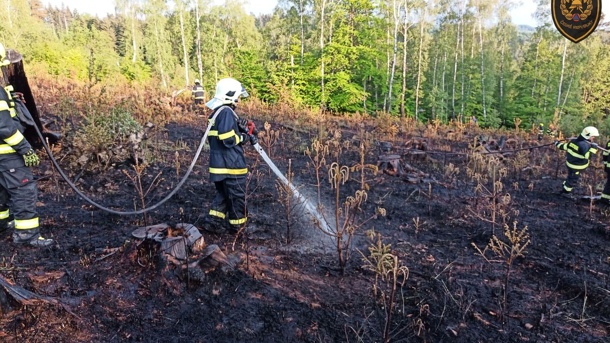 Hasiče potrápily požáry lesních porostů, na Valašsku vyjížděli ke dvěma zasáhům