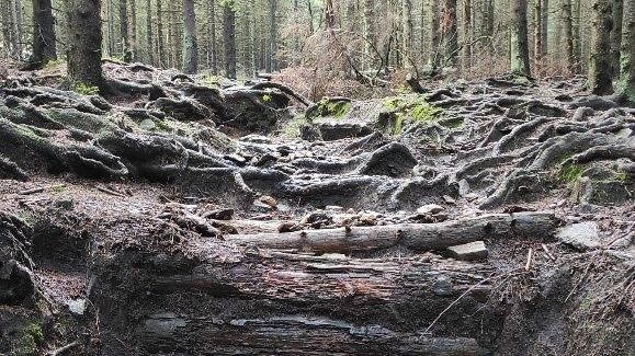 Kvůli erozi upraví v Jeseníkách oblíbenou turistickou trasu na Šerák