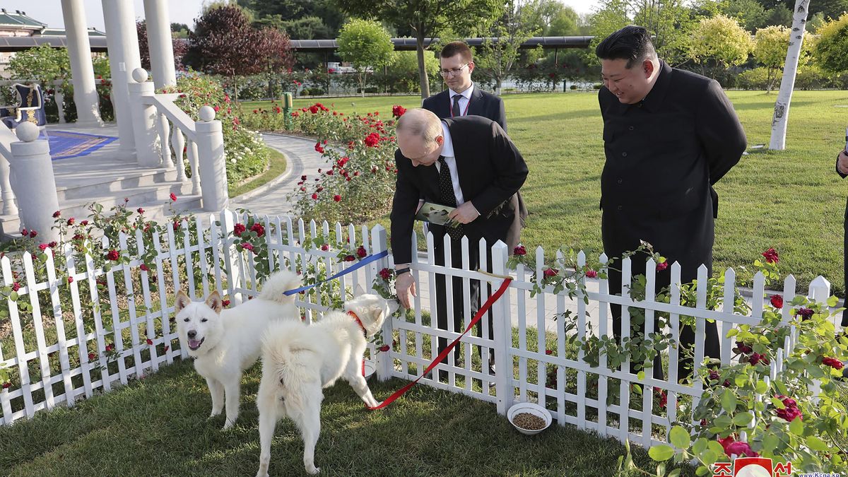 Kim věnoval Putinovi dva psy rasy Pungsan, sám dostal limuzínu