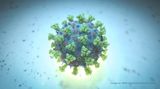 Šance na vakcínu proti koronaviru zvyšuje jeho malá schopnost mutace
