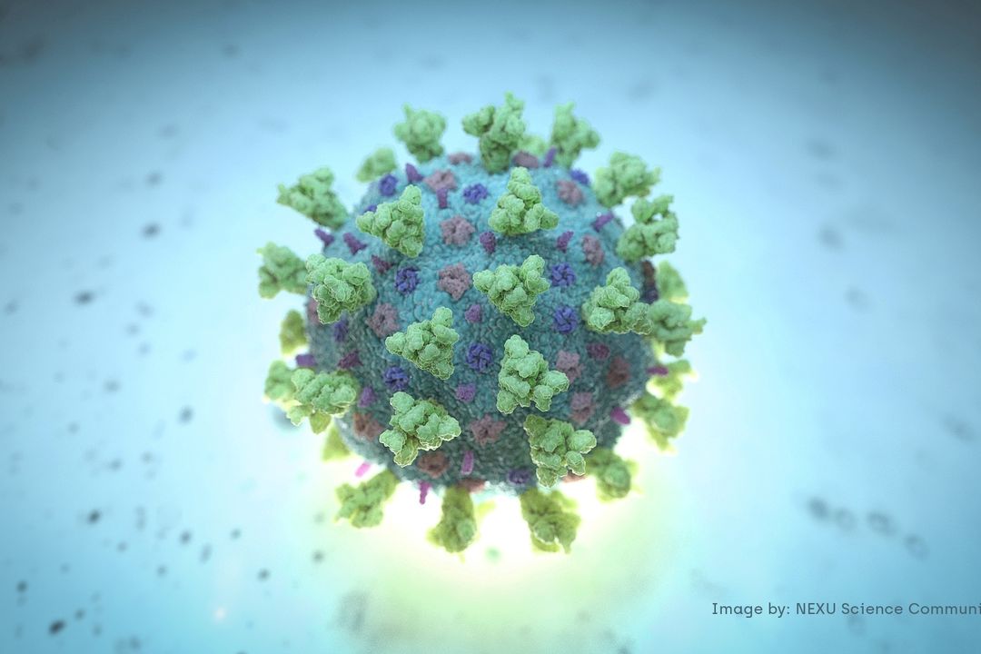 FLiRT straší vědce. Nová mutace koronaviru je odolnější vůči současným vakcínám