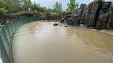 Víkendové deště spláchly i část pražské zoo, zatopeny byly bazény lachtanů i tučňáků