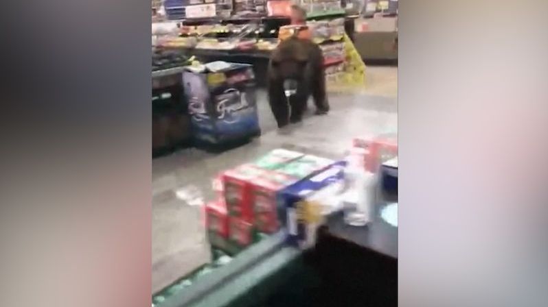 Do supermarketu v USA přišel medvěd, už druhý během týdne