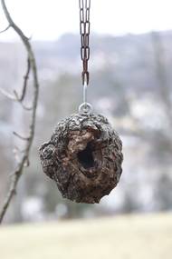 Krmítka a budky v Luhačovicích využívají zejména sýkorky a další drobní pěvci, vznikají i budky pro malé druhy sov.