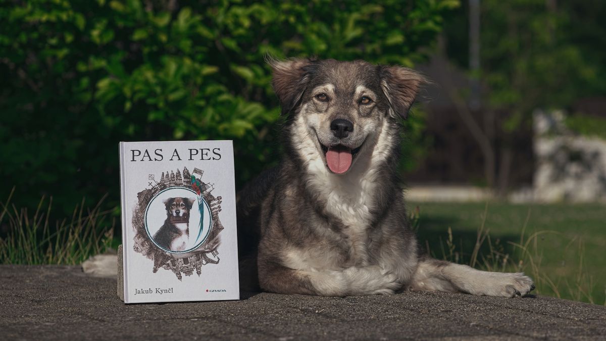 Česká Lassie bude jednou z hvězdiček pražského Světa knihy