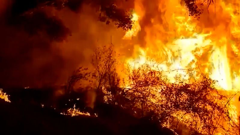 Jih Evropy spalují lesní požáry, ohrožují letoviska