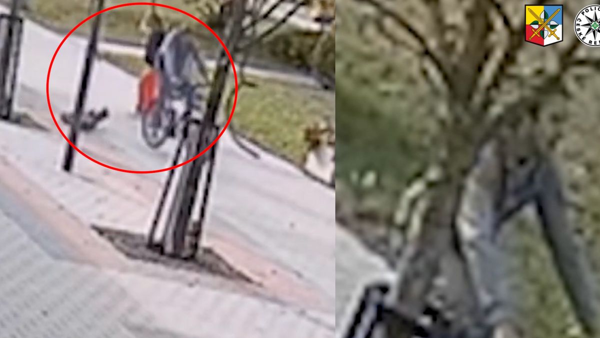 Policie hledá cyklistu, který v Kladně na chodníku srazil malého chlapce a ujel
