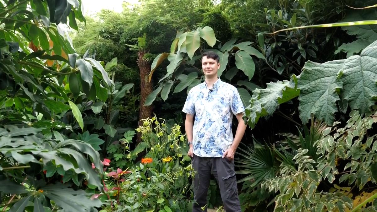 Muž v Yorkshiru má zahradu jako málokdo. Bují mu na ní opravdová džungle a voní v ní čokoláda