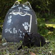 Kočky mají v japonské kultuře významné postavení.