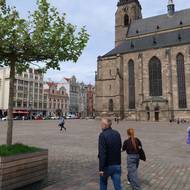 Doposud tady rostly stromy akorát v květináčích.