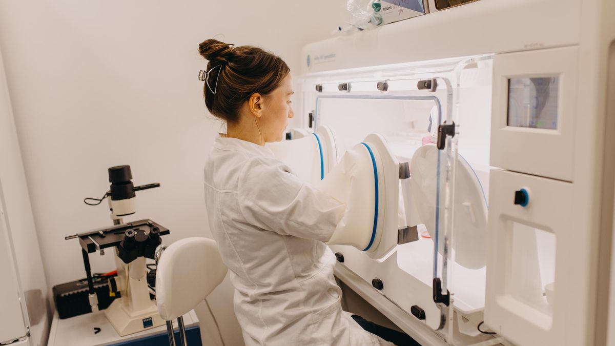 Čeští vědci zkoušejí „převychovat“ rakovinné buňky, které jsou odolné vůči léčbě