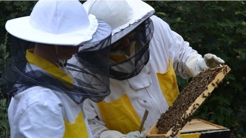 Do včelaření zasvěcují mládež dobrovolníci RC Srdíčko.