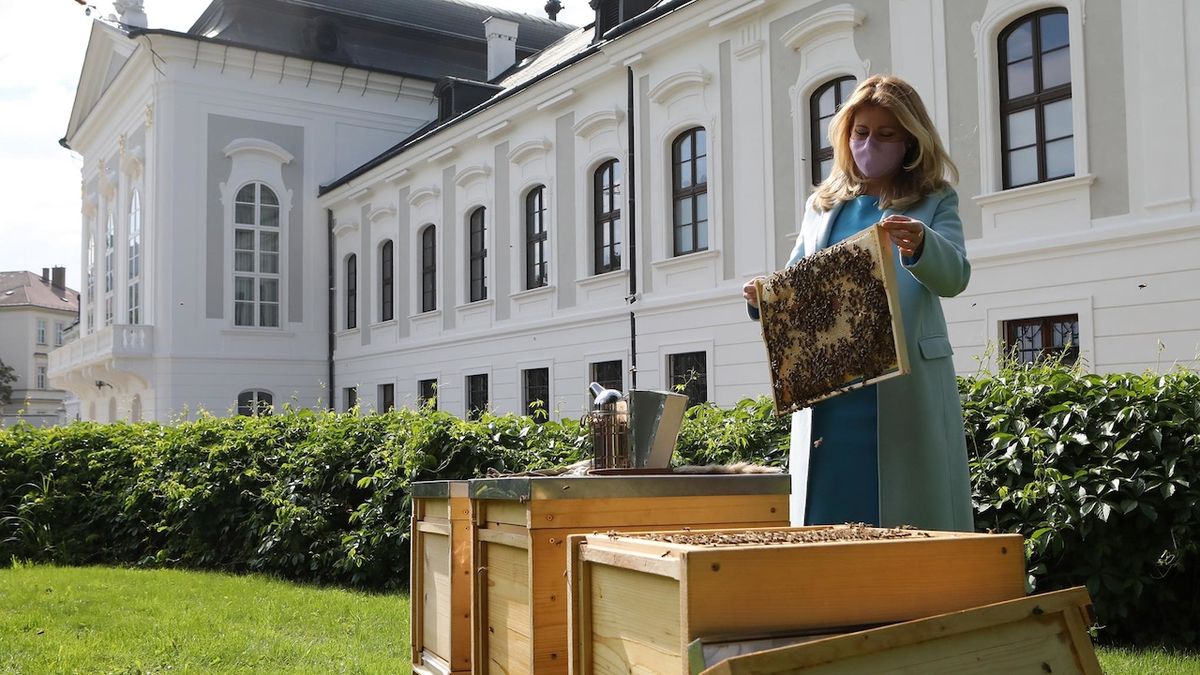 Zuzana Čaputová se včelstvy na zahradě Prezidentského paláce