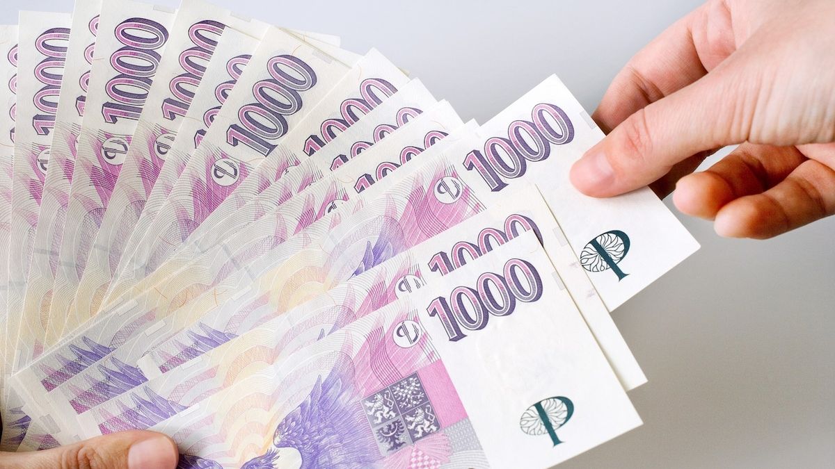 Státní dluh stoupl, na každého Čecha připadá skoro čtvrt milionu