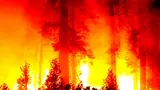 Lesních požárů bude v Česku přibývat, varuje odborník z Mendelovy univerzity