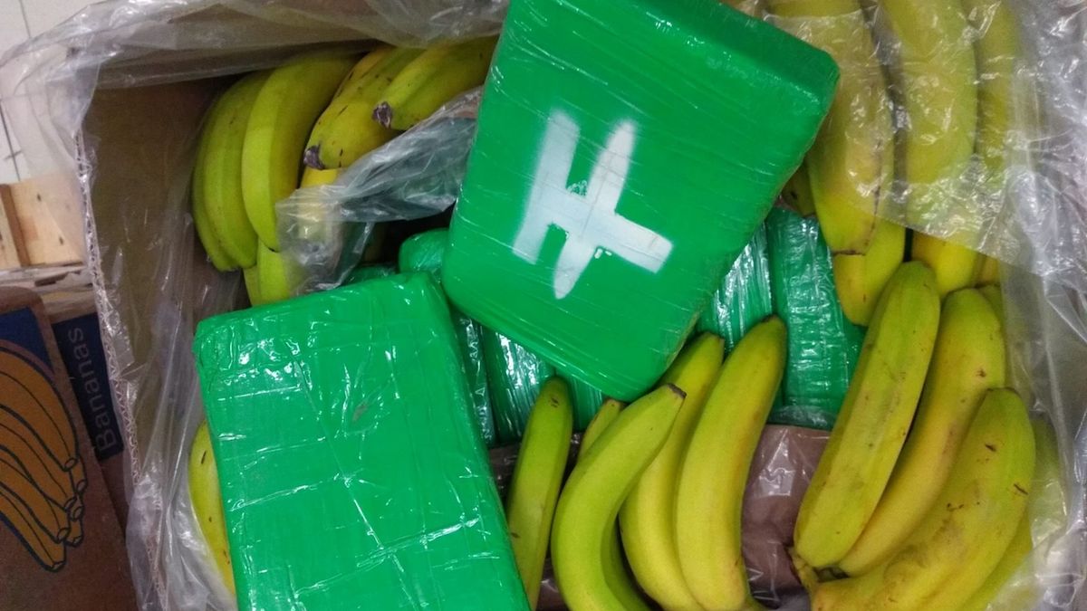V supermarketech na Jičínsku a Rychnovsku našli kokain za dvě miliardy