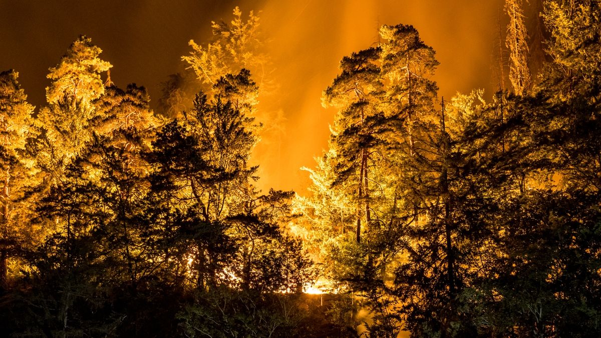 FOTO: Hasiči bojují s požárem v Českém Švýcarsku