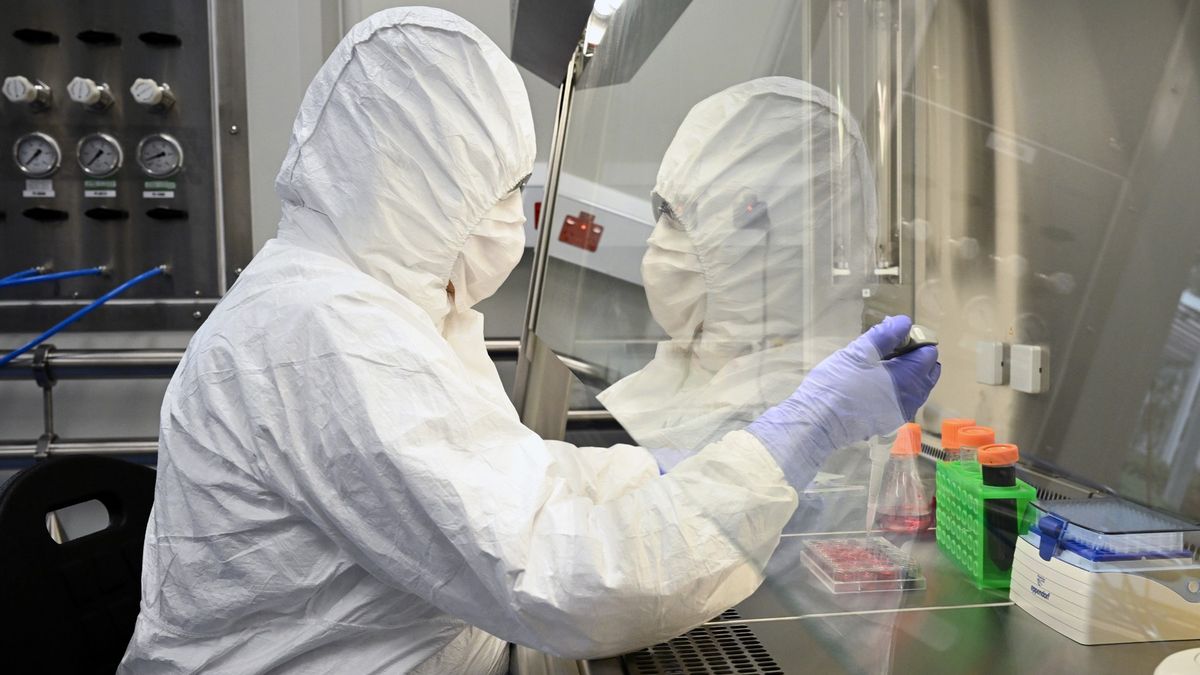 Badatelé v Bostonu vytvořili mutaci koronaviru s 80% smrtností