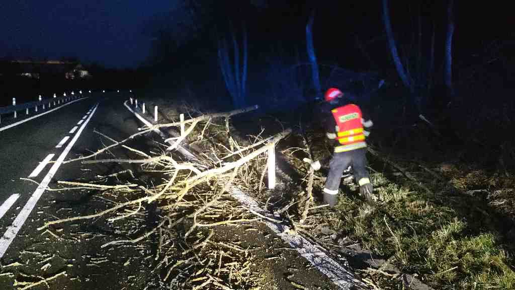 Česko se potýká se silným větrem. Popadané stromy přerušují dodávky elektřiny