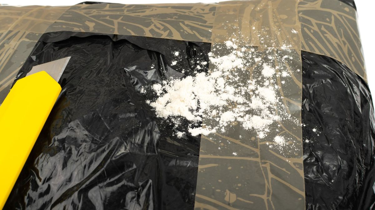 Kokain za 15 miliard korun. Australská policie podnikla největší zátah v historii