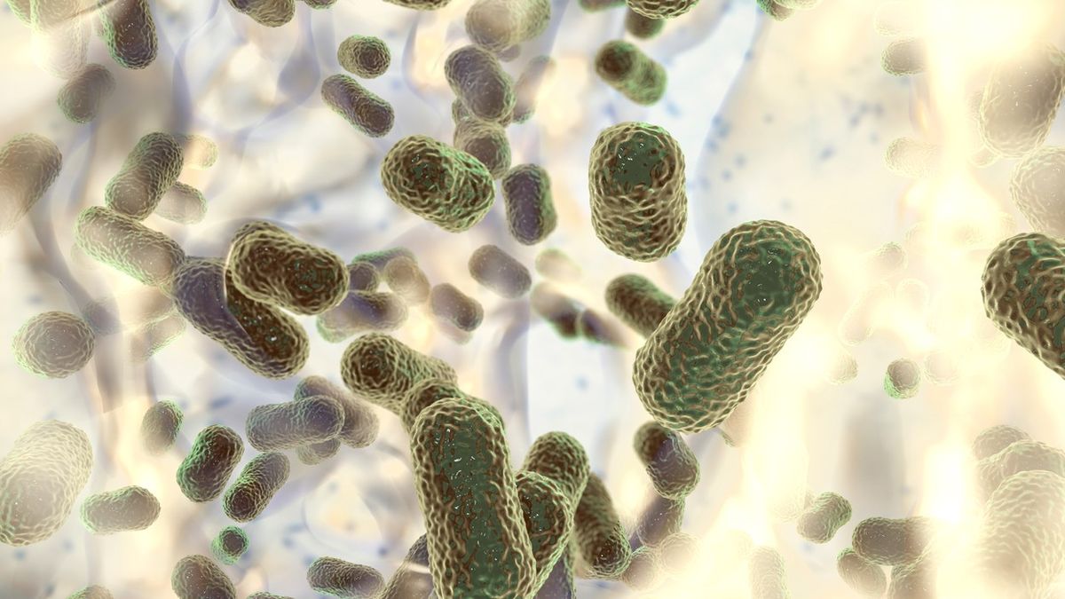 Odolné bakterie zabíjejí stejně lidí jako nehody