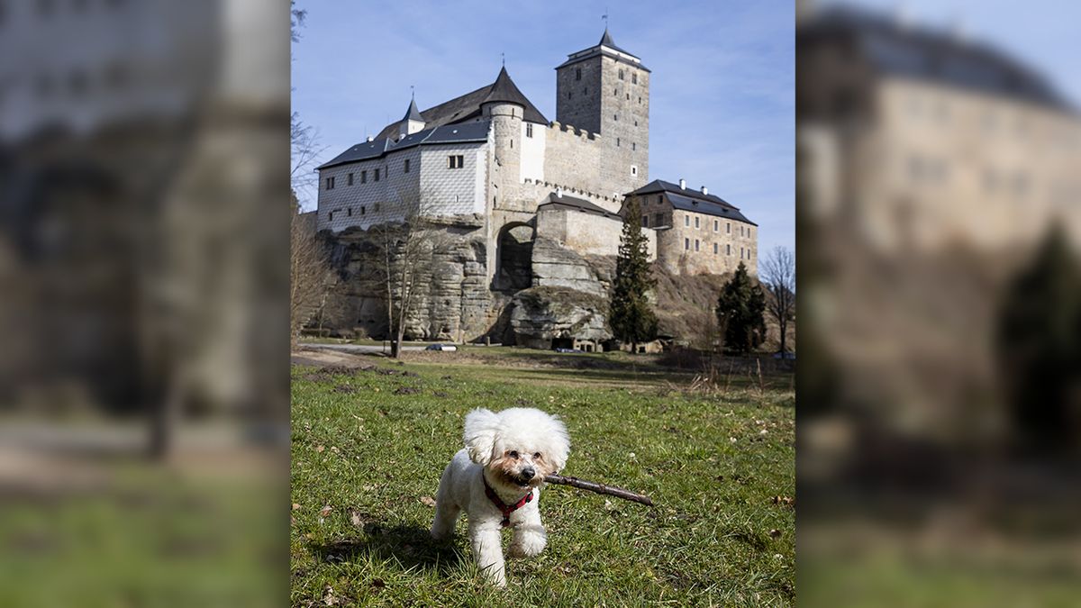Se psem na hrad Kost: Některé památky se otevírají i mazlíčkům