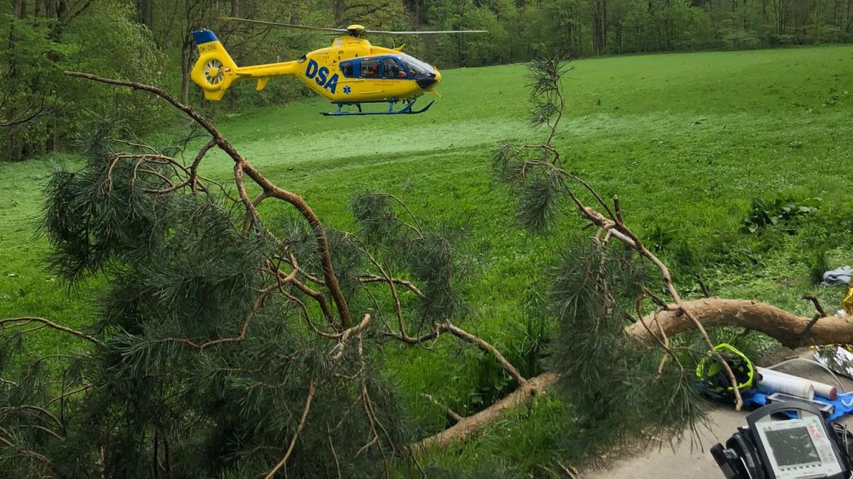 V nemocnici zemřela žena, na kterou na Chrudimsku spadl strom