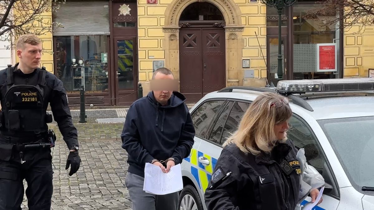 Požár stájí v Praze s osmi uhořelými koňmi: obviněnému 30letému muži hrozí až 15 let vězení