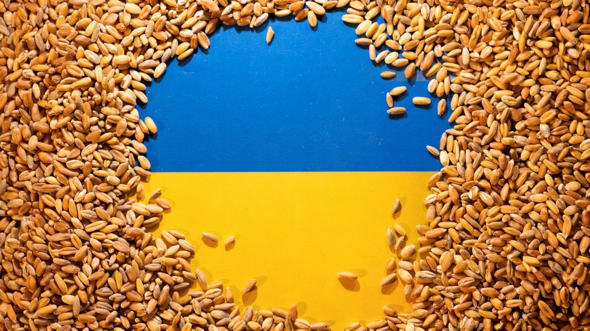 Dosud zkontrolované vzorky ukrajinského obilí byly v pořádku