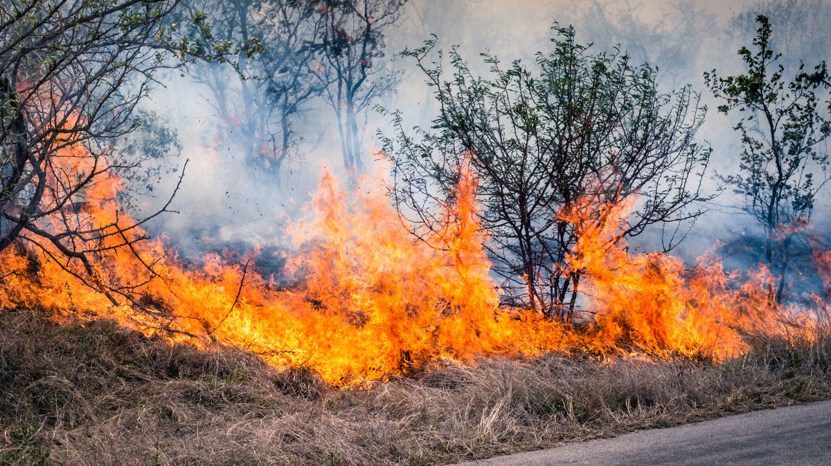 Při požáru v ženské věznici v Hondurasu zemřelo nejméně 25 vězeňkyň