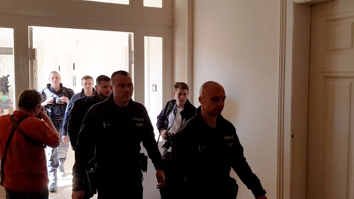 Za šíření zpráv o vraždění pacientů k očernění ivermektinu potvrdil soud Volnému podmínku