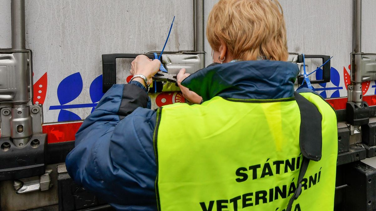 V prodejně byli švábi. Firma Masoprodej dostala půlmilionovou pokutu