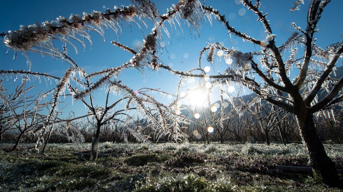 Meteorologové varují před mrazem