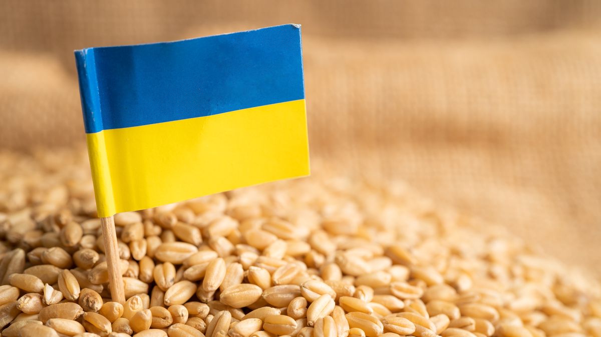 Slovensko pozastavuje dovoz obilí z Ukrajiny