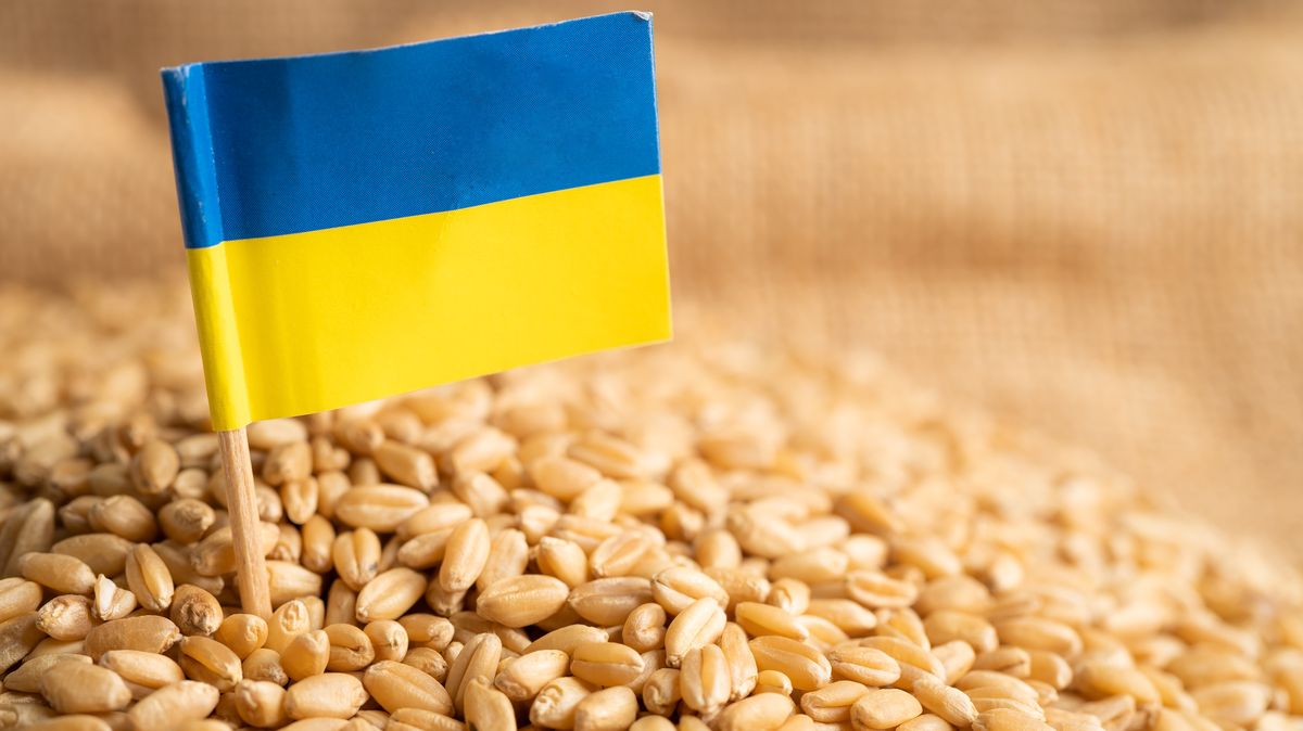 Ukrajinská ekonomika loni klesla o více než 29 procent