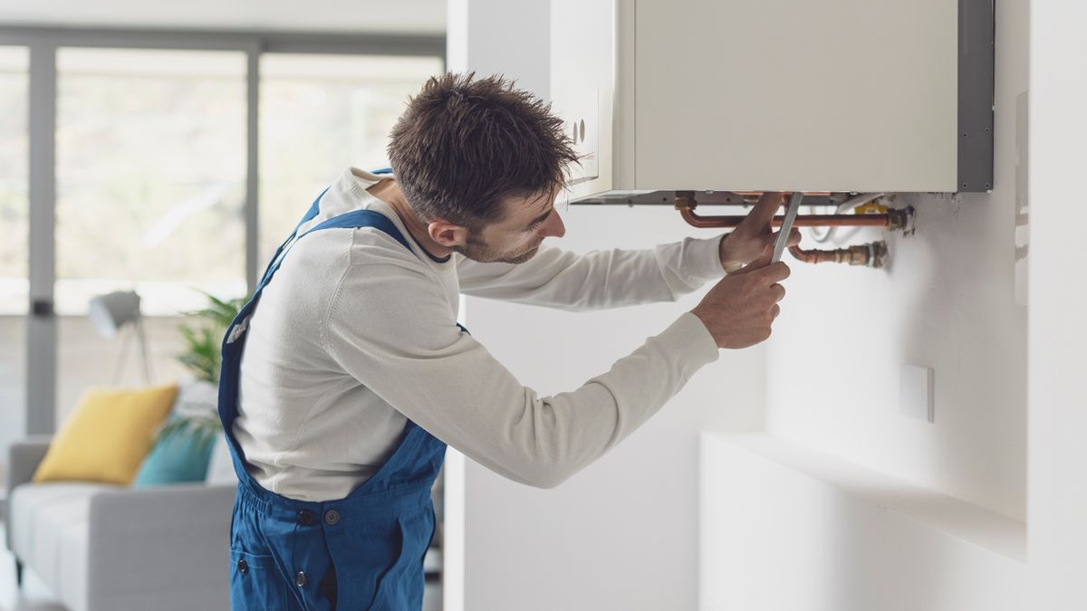 Češi začali opět spotřebovávat víc elektřiny i plynu