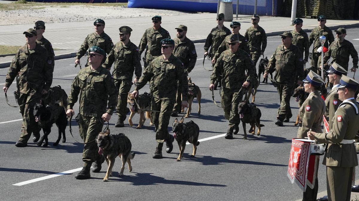 Polská armáda bude vojenským psům udělovat hodnosti od vojína po četaře