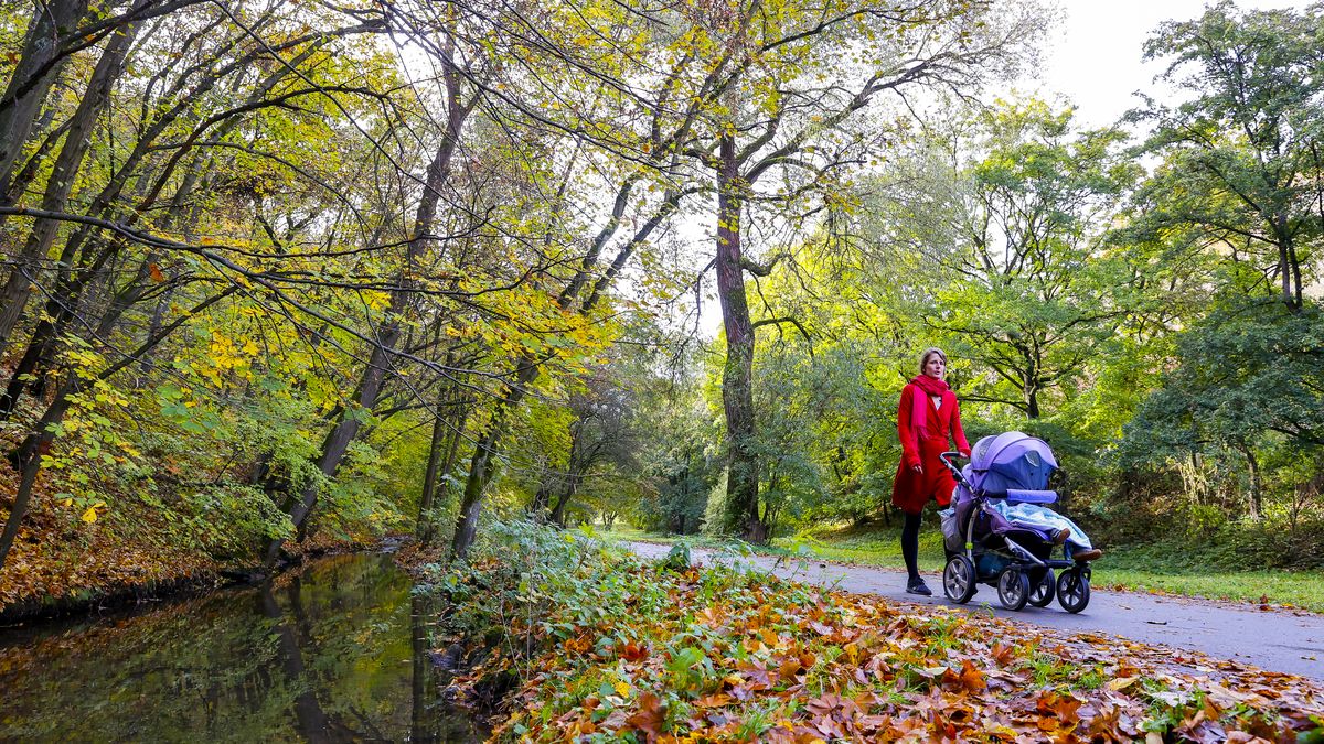 Mrazy už se začnou pomalu hlásit