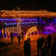 Patnáct kovových soch dvanácti druhů zvířat zahrnuje procházka po Světelné zoo, kterou otevřeli ve Světě bludišť v Drnholci na Břeclavsku.