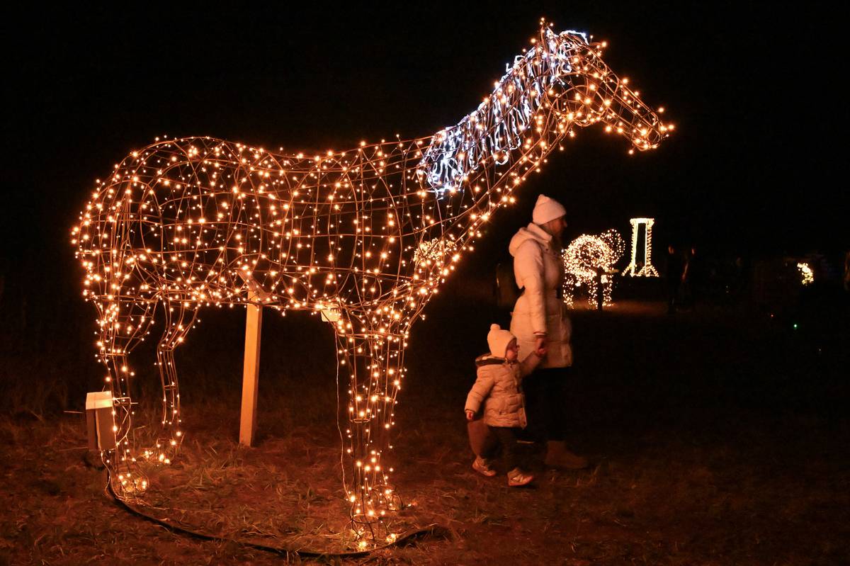 Patnáct kovových soch dvanácti druhů zvířat, světelný tunel, světelná houpačka i jedno osvětlené bludiště se soutěží zahrnuje procházka po Světelné zoo, kterou otevřeli ve Světě bludišť v Drnholci na Břeclavsku.