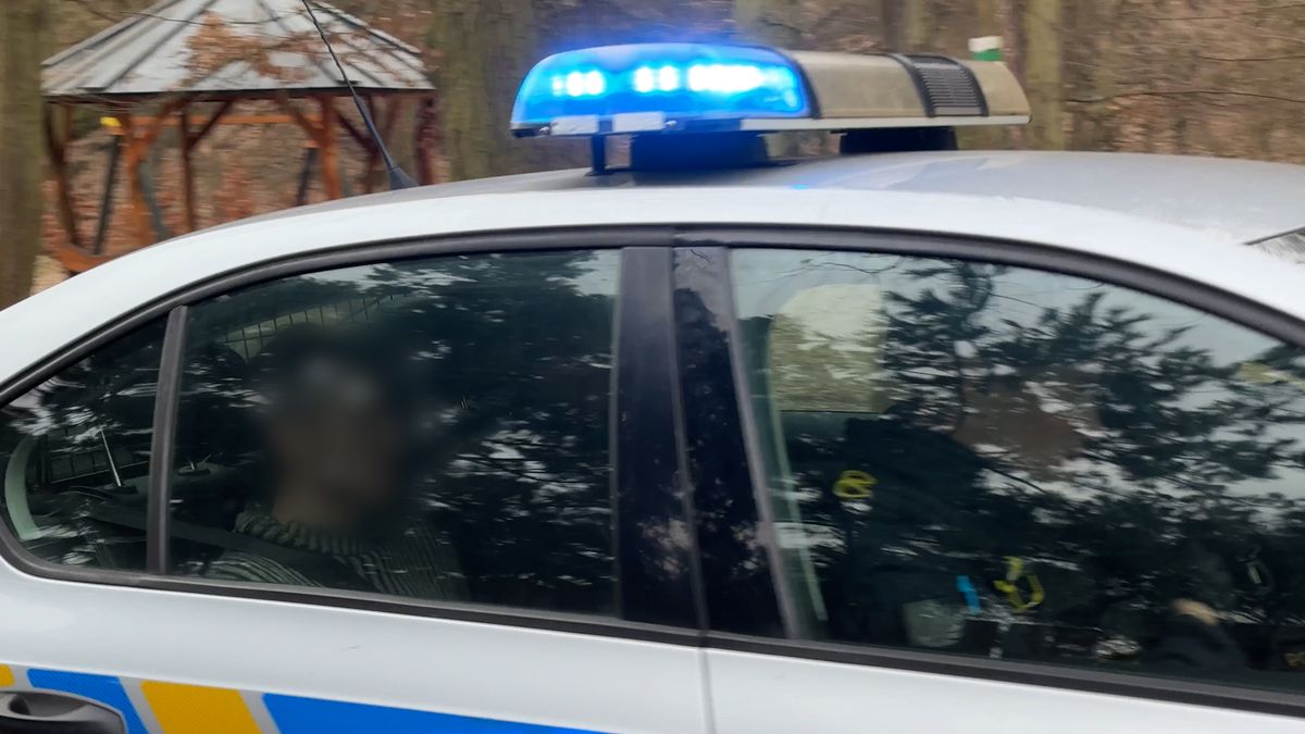 Útok na běžce v pražském lese, žena zraněná sekerou:  Policie má podezřelého