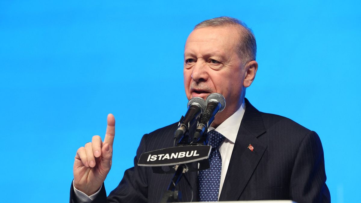 Rada bezpečnosti OSN nadržuje Izraeli, stěžuje si Erdogan