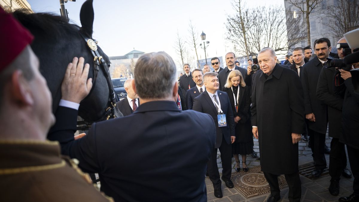 Orbán daroval Erdoganovi koně, dostal za něj 435 koní