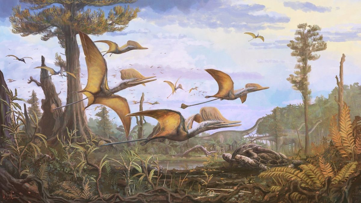 Na skotském ostrově Skye objevili unikátní druh pterosaura