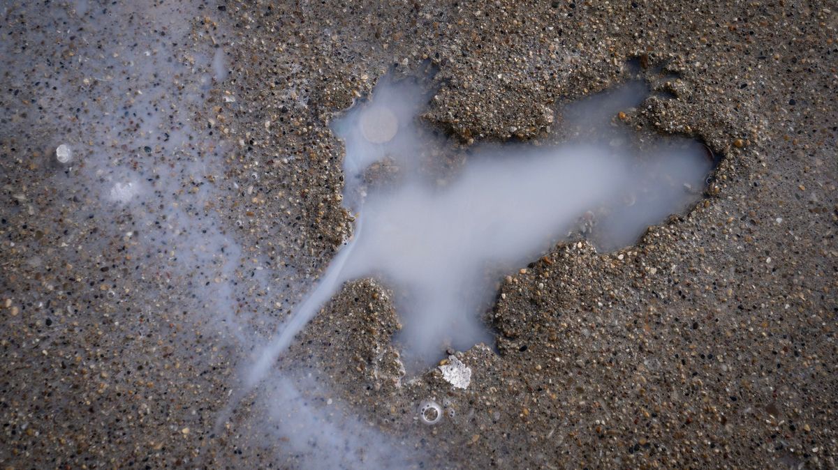 Obyvatelé Chicaga zachraňují ikonickou díru v chodníku, má tvar krysy